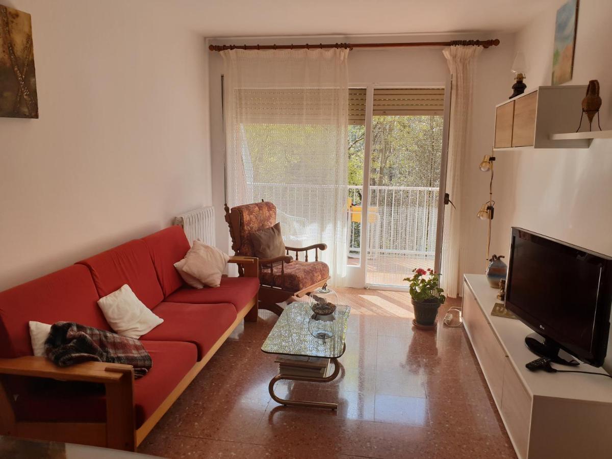 Ca La Rita Apartment Castellfollit de la Roca Luaran gambar